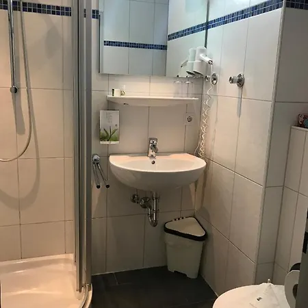 Schweizerblick Bad Säckingen