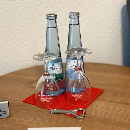 Schweizerblick 酒店 3*