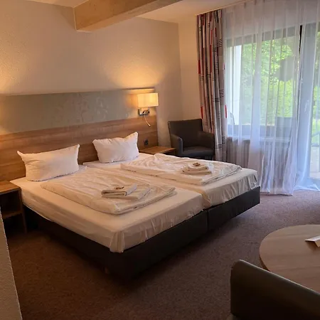 Schweizerblick 3* 巴特塞京根