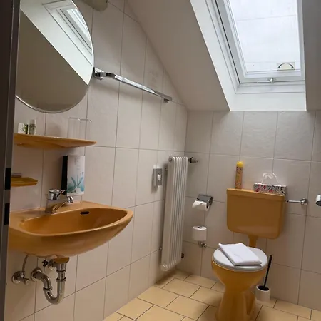 酒店 Schweizerblick 3*