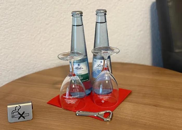 Schweizerblick Hotel 3*