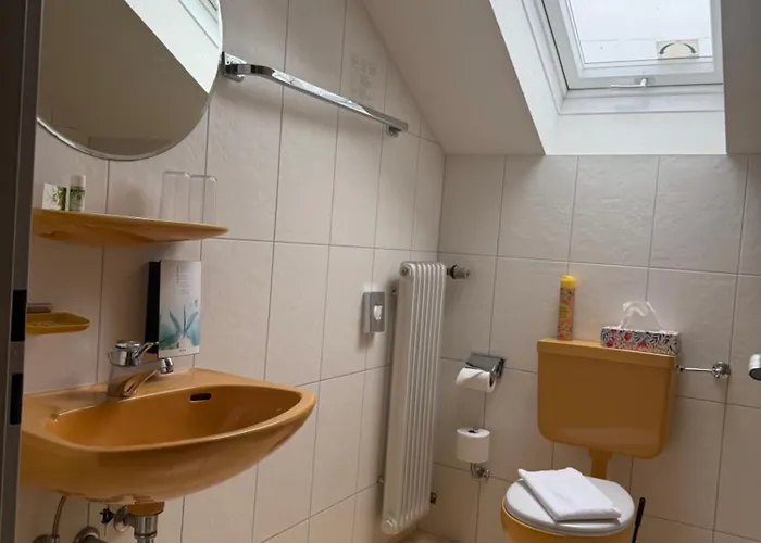 Hotel Schweizerblick 3*